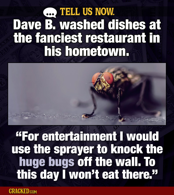 TELL US NOW. Dave B. washed dishes at the fanciest restaurant in his hometown. For entertainment would use the sprayer to knock the huge bugs off the