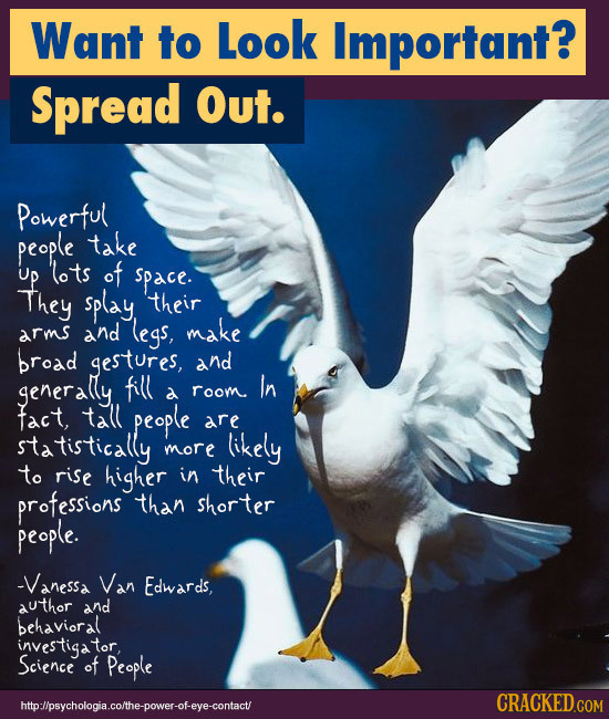 Want to Look Important? Spread Out. Powerful people take Up lots of They space. splay their arms and legs, make broad gestures, and generaly fill In a