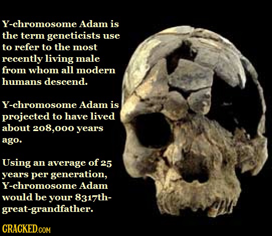 Y-chromosome Adam is the term geneticists use to refer to the most recently living male from whom all modern humans descend. Y-chromosome Adam is proj