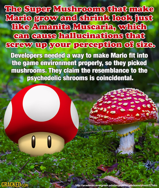 The Super Mushrooms that make Mario grow and shrink look just like Amanita Muscaria, which can cause hallucinationst that screw up your perception of 