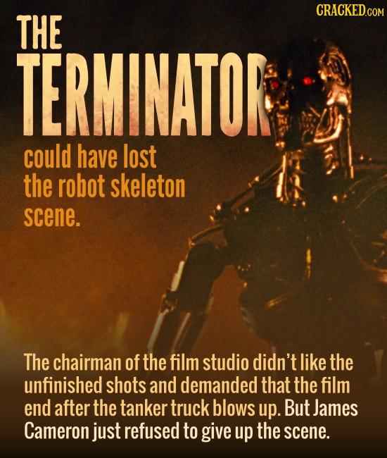 THE TERMINATOR could have lost the robot skeleton scene. The chairman of the film studio didn't like the unfinished shots and demanded that the film e
