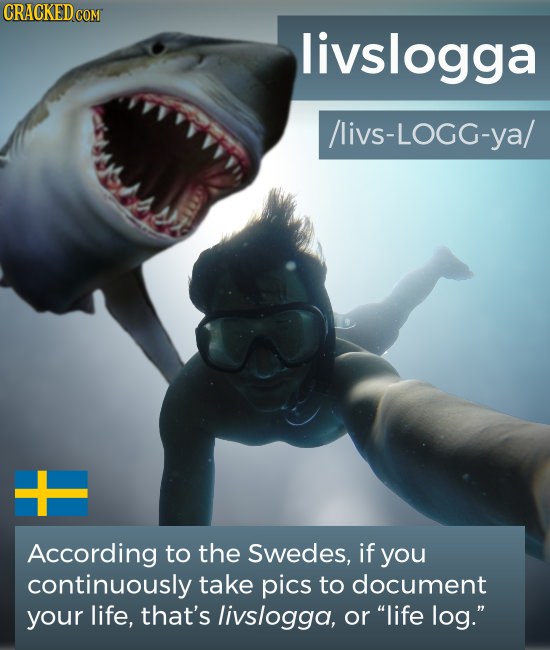 CRACKEDCOR COM livslogga /livs-LoGG-ya/ - According to the Swedes, if you continuously take pics to document your life, that's livslogga, or life log