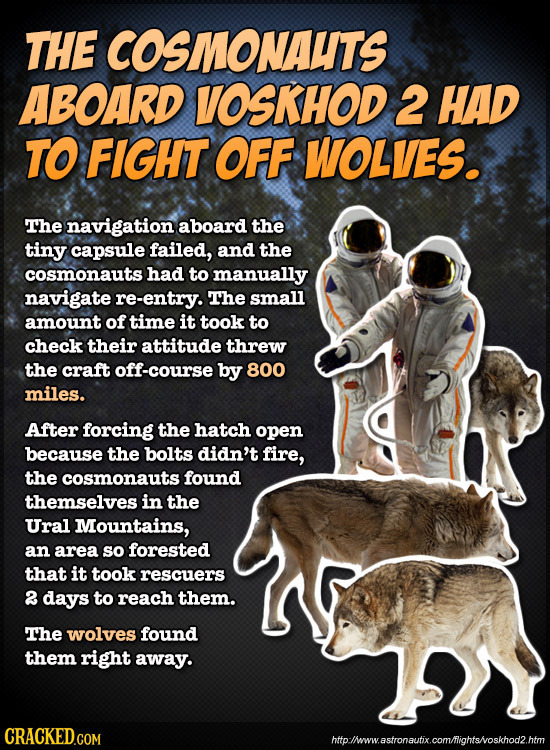 THE COSMONAUTS ABOARD VOSKHOD 2 HAD TO FIGHT OFF WOLIES. The navigation aboard the tiny capsule failed, and the cosmonauts had to manually navigate re