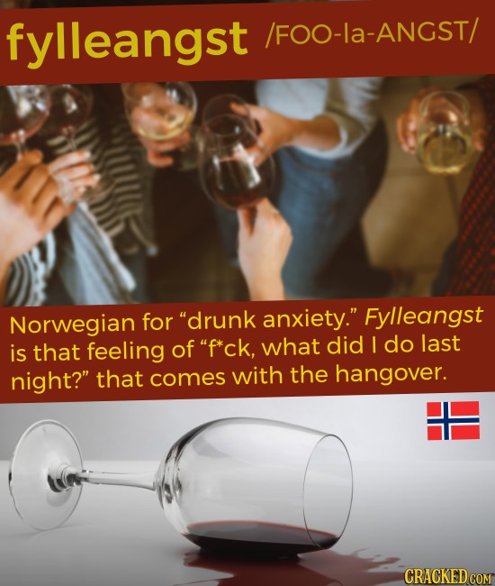 fylleangst /FOO-La-ANGST/ Norwegian for drunk anxiety. Fylleangst did is that feeling of p*ck, what I do last night? that comes with the hangover.