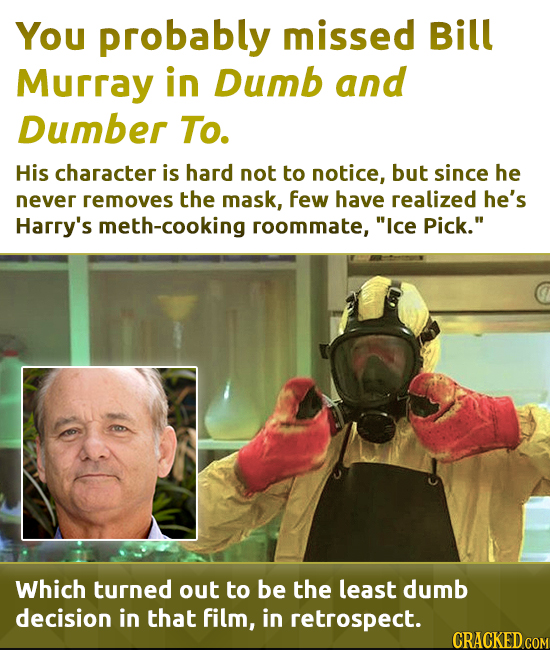 You probably missed Bill Murray in Dumb and Dumber To. His character is hard not to notice, but since he never removes the mask, few have realized he'