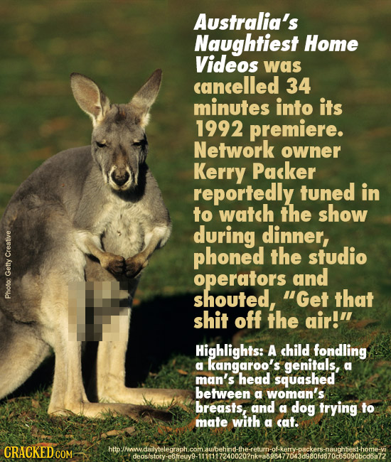 Australia's Naughtiest Home Videos was cancelled 34 minutes into its 1992 premiere. Network owner Kerry Packer reportedly tuned in to watch the show d