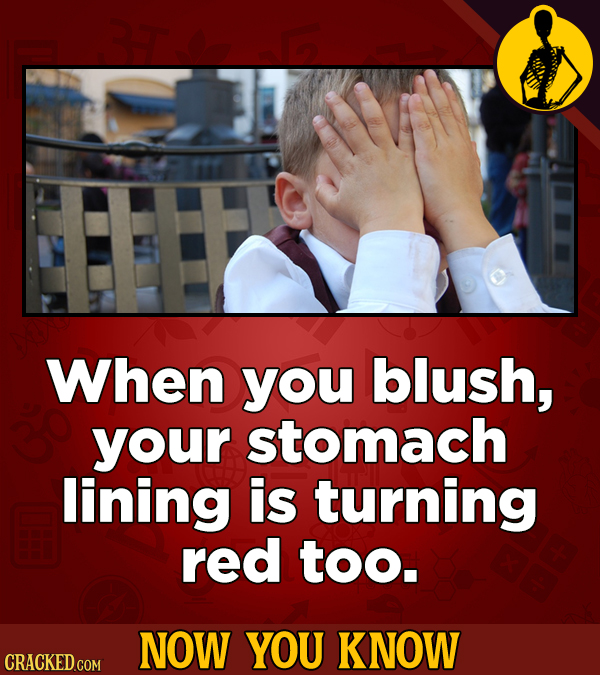 When you blush, your stomach lining is turning red too. NOW YOU KNOW CRACKED COM