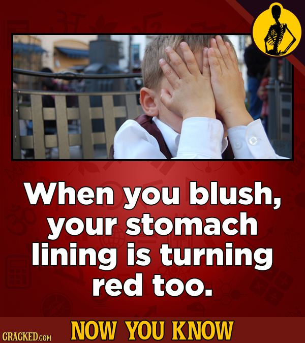 When you blush, your stomach lining is turning red too. NOW YOU KNOW CRACKED COM 