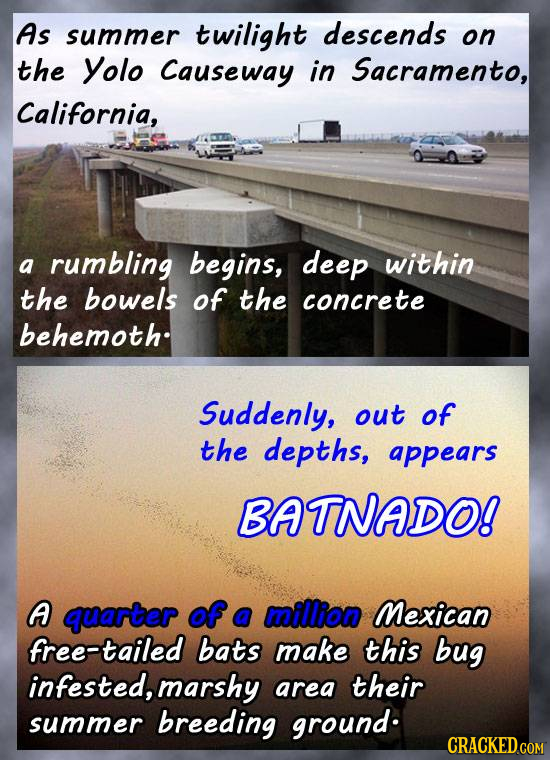 As summer twilight descends on the Yolo Causeway in Sacramento, California, a rumbling begins, deep within the bowels of the concrete behemoth Suddenl