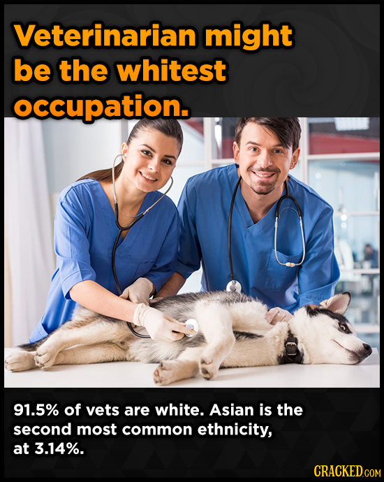 Veterinarian might be the whitest occupation. 91.5% of vets are white. Asian is the second most common ethnicity, at 3.14%.
