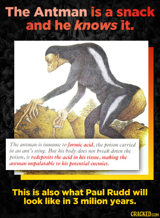 The Antman is a snack and he knows it. The antnan is imume o formic acid, the poison carricd in an ant's sting. But his body does no break doren the p