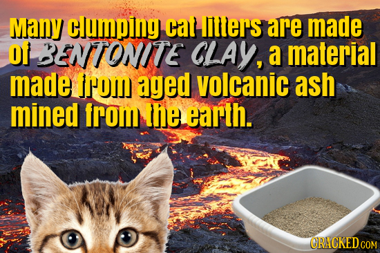 Many clumping cat IIlers are made o1 BENTONITE CLAY, a material made IFom aged volcanic ash mined from the earth. GRACKED COM 