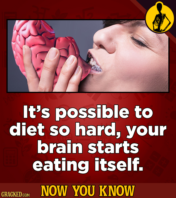 It's possible to diet SO hard, your brain starts eating itself. NOW YOU KNOW CRACKED COM 