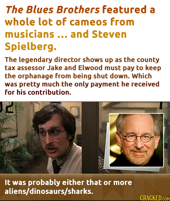The Blues Brothers featured a whole lot of cameos from musicians ... and Steven Spielberg. The legendary director shows up as the county tax assessor