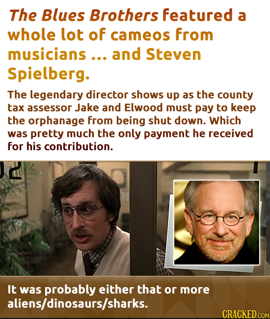 The Blues Brothers featured a whole lot of cameos from musicians ... and Steven Spielberg. The legendary director shows up as the county tax assessor 