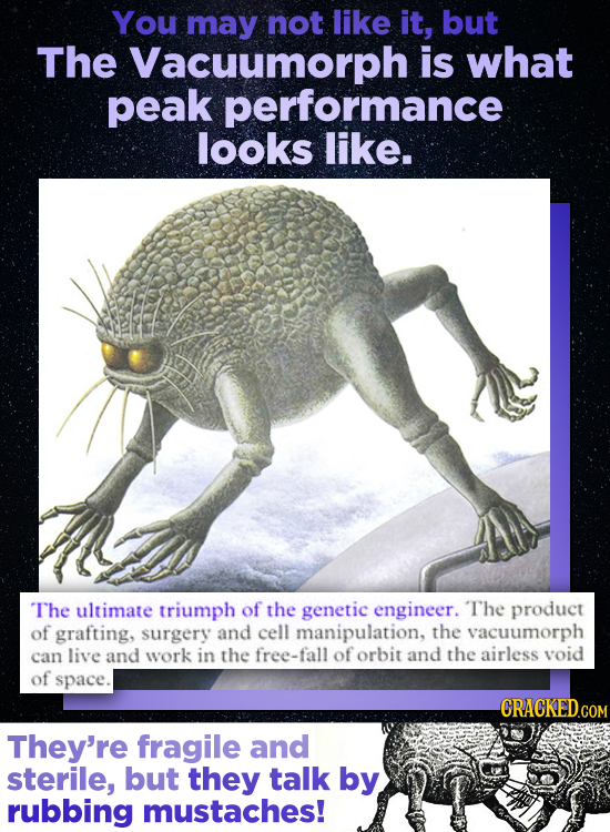 You may not like it, but The Vacuumorph is what peak performance looks like. The ultimate triumph of the genetic engineer. The product of grafting, su