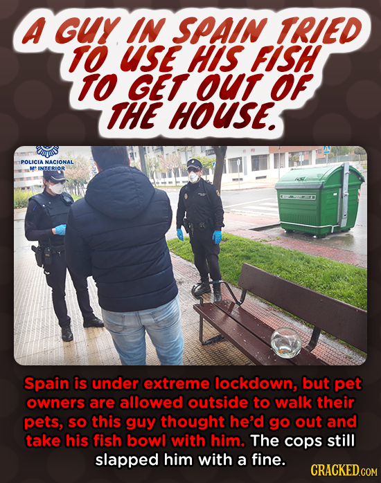 A Guy IN SPAIN TRIED TO UsE HIS FISH TO GET OUT OF THE HOUSE. is POLICLA NACIONAL M* INTERIOR Spain is under extreme lockdown, but pet owners are allo