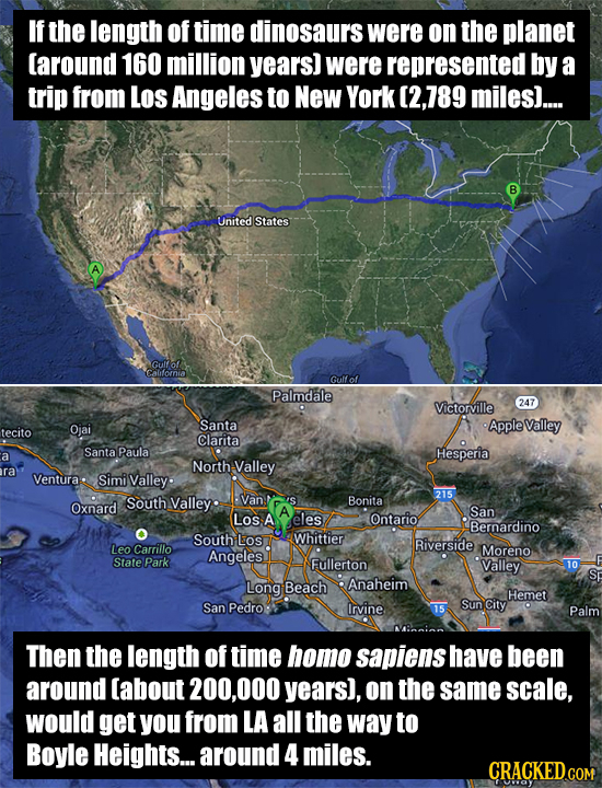 If the length of time dinosaurs were on the planet [around 160 million years) were represented by a trip from LOS Angeles to NeW York (2,789 miles)...