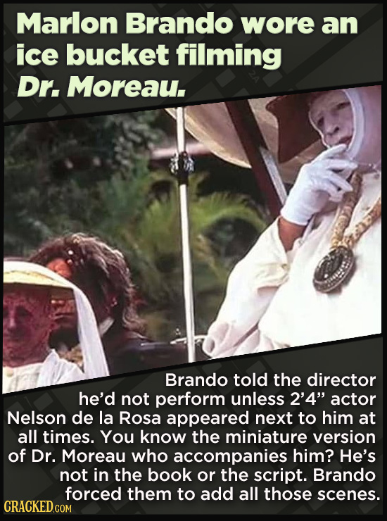 21 Beloved Celebrities Who Melted Down In Spectacular Ways - Brando told the director he’d not perform unless 2’4” actor Nelson de la Rosa appeared