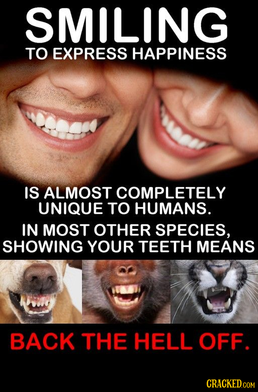 SMILING TO EXPRESS HAPPINESS IS ALMOST COMPLETELY UNIQUE TO HUMANS. IN MOST OTHER SPECIES, SHOWING YOUR TEETH MEANS BACK THE HELL OFF.