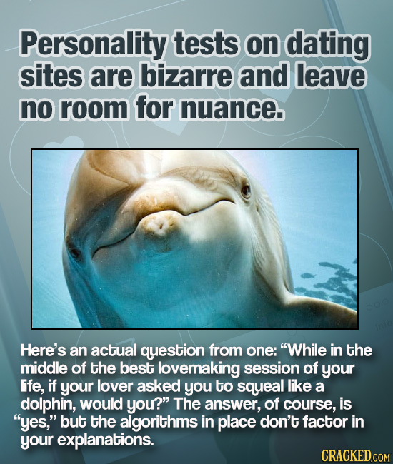 Personality tests on dating sites are bizarre and leave no room for nuance. Here's an actual question from one: While in the middle of the best lovem