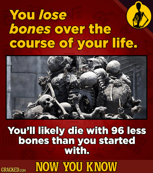 You lose bones over the course of your life. You'll likely die with 96 less bones than you started with. NOW YOU KNOW CRACKED COM