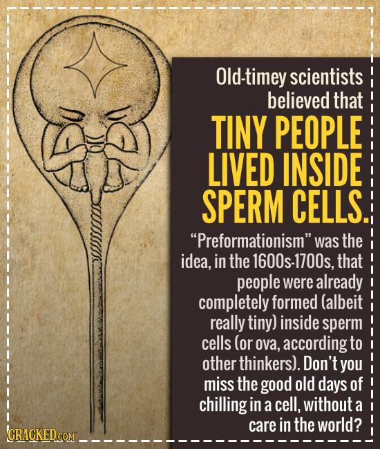 Old-timey scientists believed that TINY PEOPLE LIVED INSIDE SPERM CELLS. Preformationism was the idea, in the 1600s-1700s, that people were already
