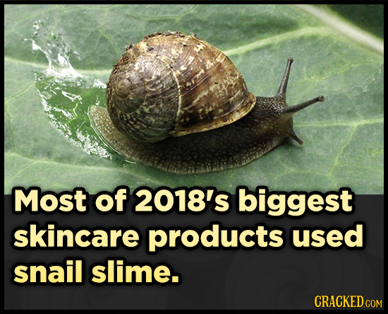 Most of 2018's biggest skincare products used snail slime. CRACKEDCON COM 