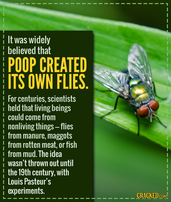 It was widely believed that POOP CREATED ITS OWN FLIES. For centuries, scientists held that living beings could come from nonliving things- -flies fro