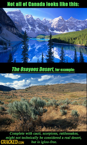 Not all of Canada looks like this: The Osoyoos Desert, for example: Complete with cacti. scorpions, rattlesnakes, might not technically be considered