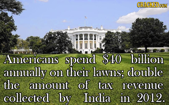 Americans spend $40 billion annually on their lawns; double the amount of tax revenue collected by India in 2012. 