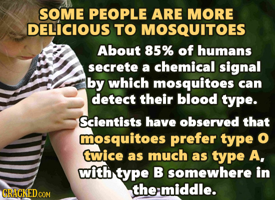SOME PEOPLE ARE MORE DELICIOUS TO MOSQUITOES About 85% of humans secrete a chemical signal by which mosquitoes can detect their blood type. Scientists