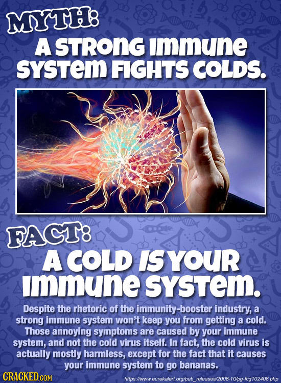 MYTHB A STRONG immune sYSTEm FIGHTS COLDS. FAGT8 A COLD IS YouR immune sysTem. Despite the rhetoric of the immunity-booster industry, a strong immune