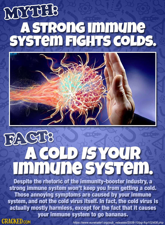 MYTHB A STRONG immune sYSTEm FIGHTS COLDS. FAGT8 A COLD IS YouR immune sysTem. Despite the rhetoric of the immunity-booster industry, a strong immune 