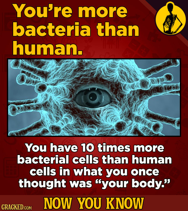 You're more bacteria than human. You have 10 times more bacterial cells than human cells in what you once thought was your body. NOW YOU KNOW CRACKE