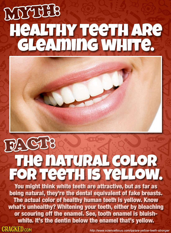 MYTH8 HEALTHY TEETH ARE GLEAMING WHITE. FAGT8 THE NATURAL COLOR FOR TEETH IS YELLOW. You might think white teeth are attractive, but as far as being n