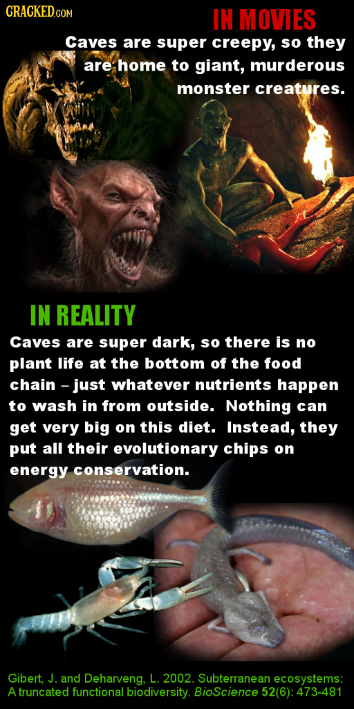 CRACKED.COM IN MOVIES Caves are super creepy, so they are home to giant, murderous monster creatures. IN REALITY Caves are super dark, so there is no 