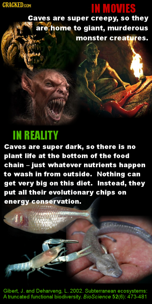 CRACKED.COM IN MOVIES Caves are super creepy, so they are home to giant, murderous monster creatures. IN REALITY Caves are super dark, so there is no