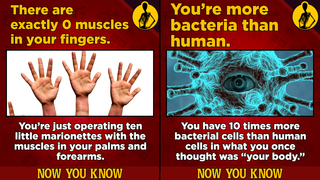 22 Kinda Gross Facts About The Human Body That'll Make You Feel A Little Uncomfortable