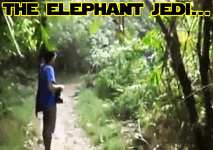 14 Ordinary People Who Just Ran Out of F#@ks to Give