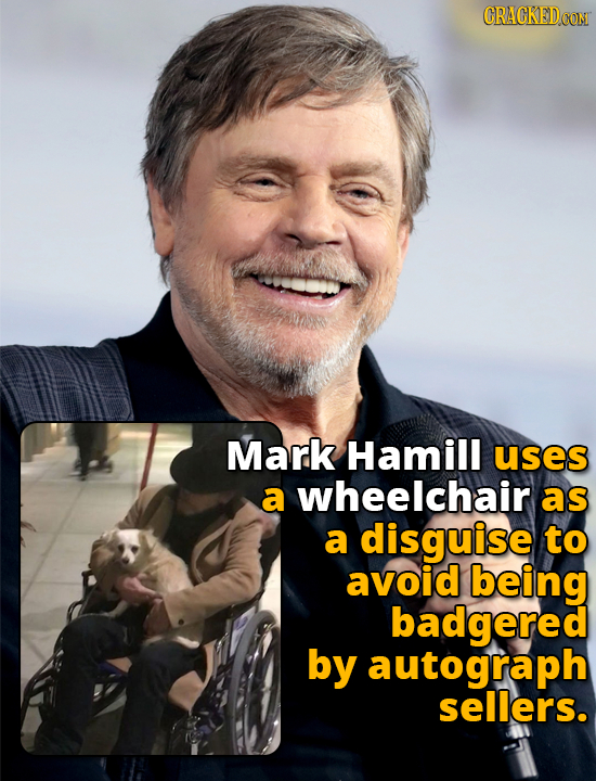 CRACKED CON Mark Hamill uses a wheelchair as a disguise to avoid being badgered by autograph sellers. 