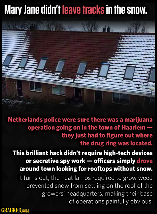 Mary Jane didn't leave tracks in the snow. Netherlands police were sure there was a marijuana operation going on in the town of Haarlem- they just had