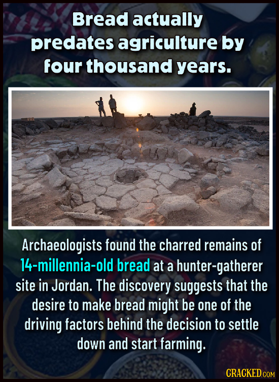 Bread actually predates agriculture by four thousand years. Archaeologists found the charred remains of 14-millennia-old bread at a hunter-gatherer si