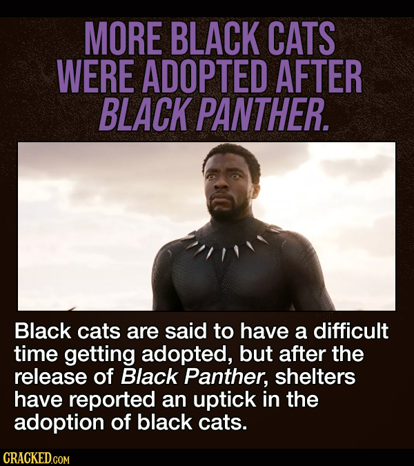 17 Times Movie & TV Shows Affected The Real World