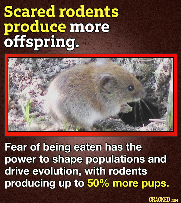 14 Facts About Fear Because 'Tis The Season