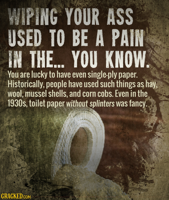 WIPING YOUR ASS USED TO BE A PAIN IN THE... YOU KNOW. You are lucky to have even single-ply paper. Historically, people have used such things as hay,