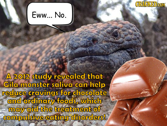 CRACKEDeC COM Eww... No. A 2012 study revealed that Gila monster saliva can help reduce cravings for chocolate and ordinary foods, which may aid the t