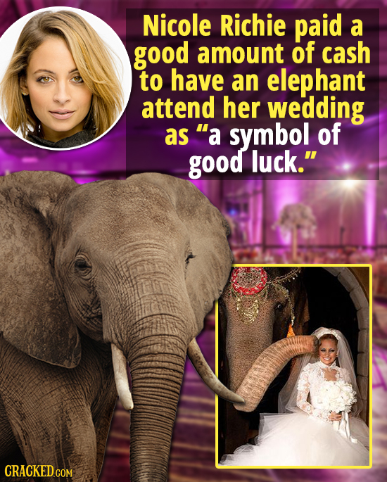 Nicole Richie paid a good amount of cash to have an elephant attend her wedding as a symbol of good luck. 