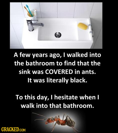 A few years ago, I walked into the bathroom to find that the sink was COVERED in ants. It was literally black. To this day, I hesitate when I walk int
