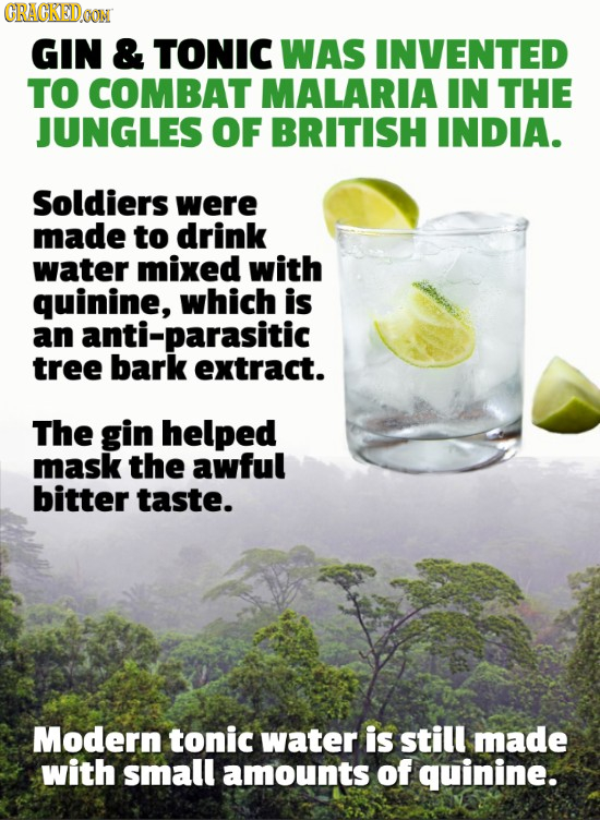 CRAGKEDOONN GIN & TONIC WAS INVENTED TO COMBAT MALARIA IN THE JUNGLES OF BRITISH INDIA. Soldiers were made to drink water mixed with quinine, which is